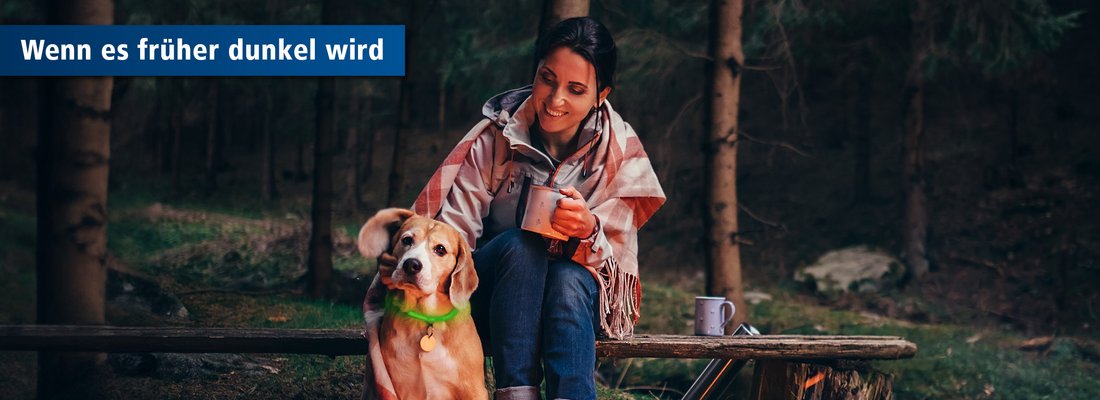 Hund mit Frauchen in der Dunkelheit